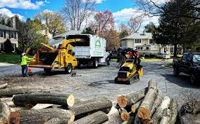 Best Sod Installation  in Wamac, IL